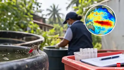 El Niño-linked warming in the Pacific Ocean could increase dengue: The wider industry impact
