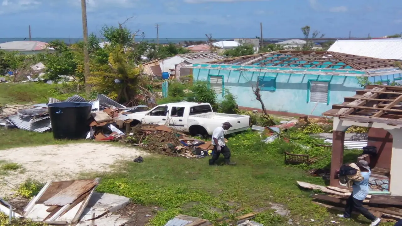 An image of Hurricane Irma along with mountain dogs guarding a flock: The wider industry impact