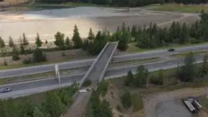 An Idaho bridge sat unused for 56 years after mining cut off its road; in 2025, it reopened