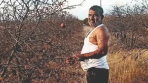 Pomegranate farmer Pandurang Mali shows his drying plantation: The wider industry impact