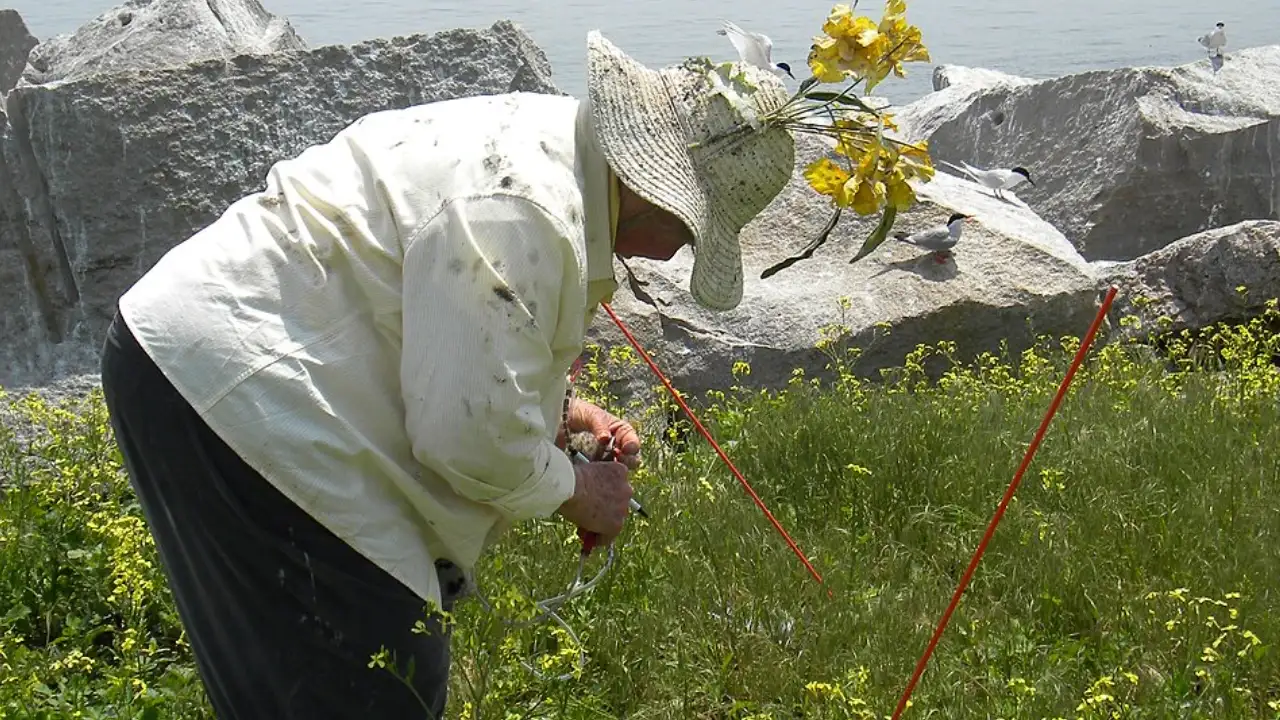 In 1969, an ornithologist began spending six months a year: The wider industry impact