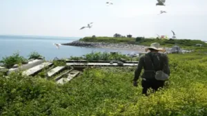 In 1969, an ornithologist began spending six months a year: The wider industry impact