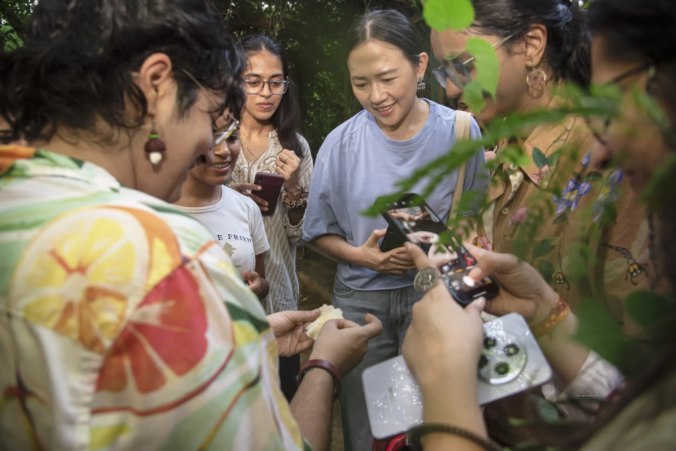 Finding wonder in Delhi's fungal world