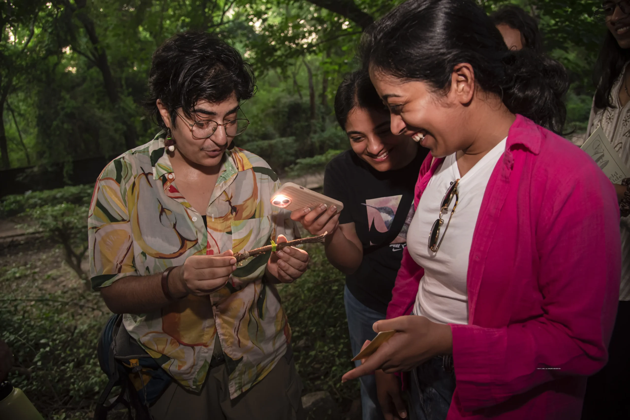 Finding wonder in Delhi's fungal world