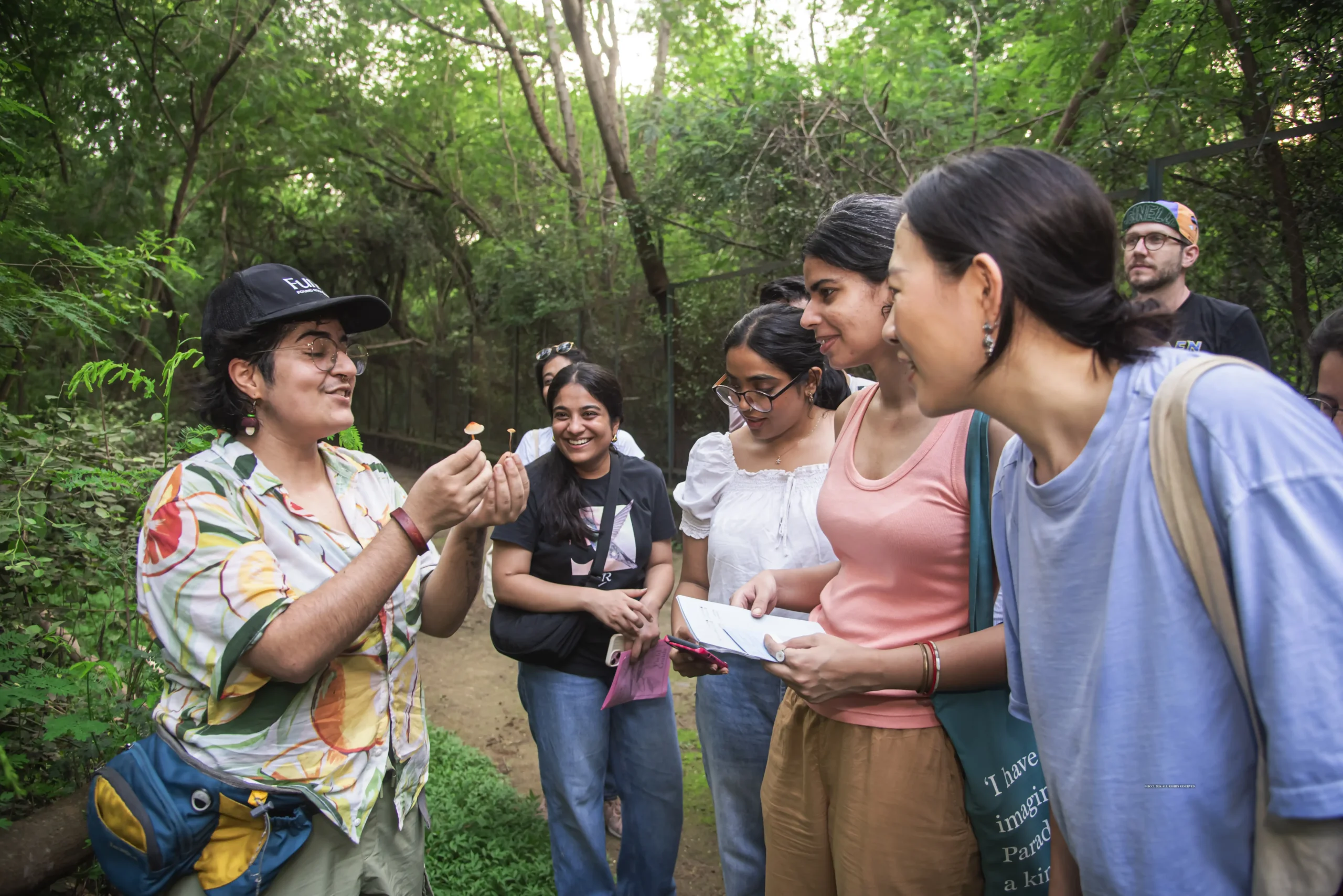 Finding wonder in Delhi's fungal world