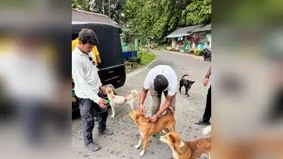 Before tigers return, Buxa steps up dog vaccination drive: The wider industry impact