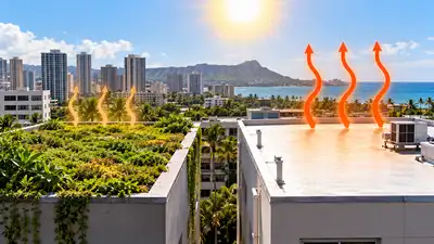 In 2018, a University of Hawaii study compared green and white roofs: The wider industry impact