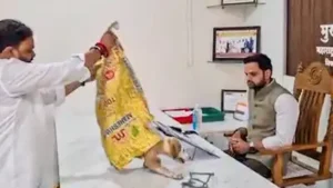 However, civic officials have claimed that the puppies taken to the Niphad Nagar Panchayat