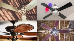 Here's how to receives your ceiling fan blades properly clean using tools you can operate