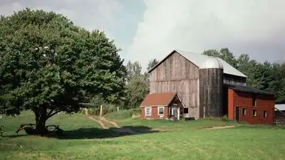 When the family purchased the property in 1954, Toad Hall was: The wider industry impact