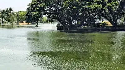 Until around 1960, the Bengaluru plateau had about 560 lakes: The wider industry impact