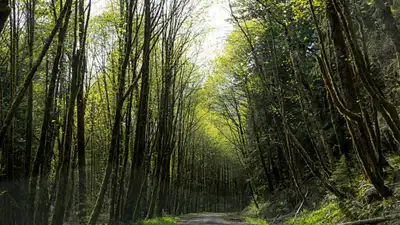 If Congress passes the legislation, the 18,626 acres would become part of the tribe's trust