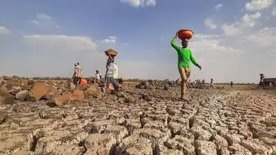 Vidarbha and Marathwada account for 64% of the drought-affected talukas