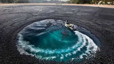 In 2015, Los Angeles used 96 million plastic balls to fight drought: The wider industry impact