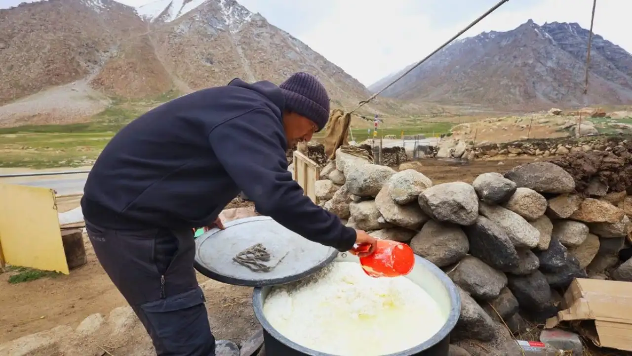 In Ladakh, the most valued version is made from yak milk