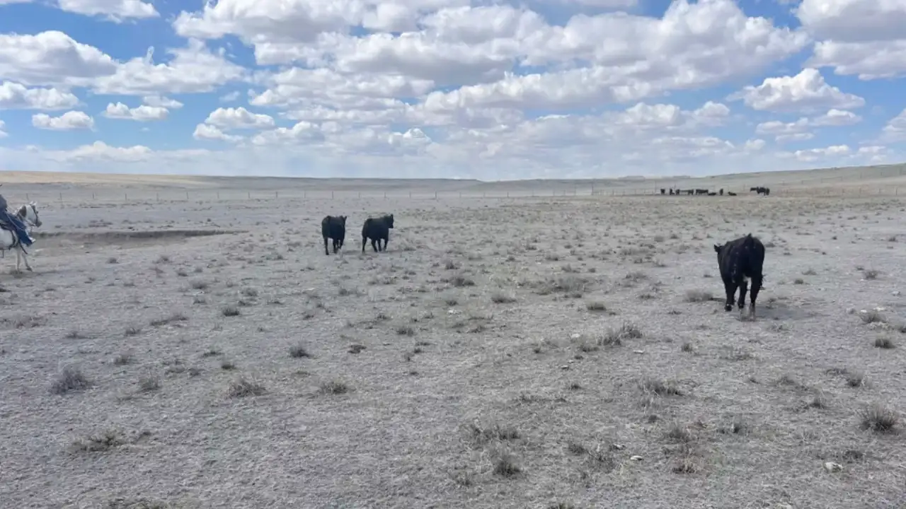 A Colorado rancher spent $50,000 fighting oil infrastructure he did not want on his 7,000-acre