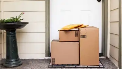Sturdy delivery boxes, especially smaller ones with decent depth, make for handy pantry