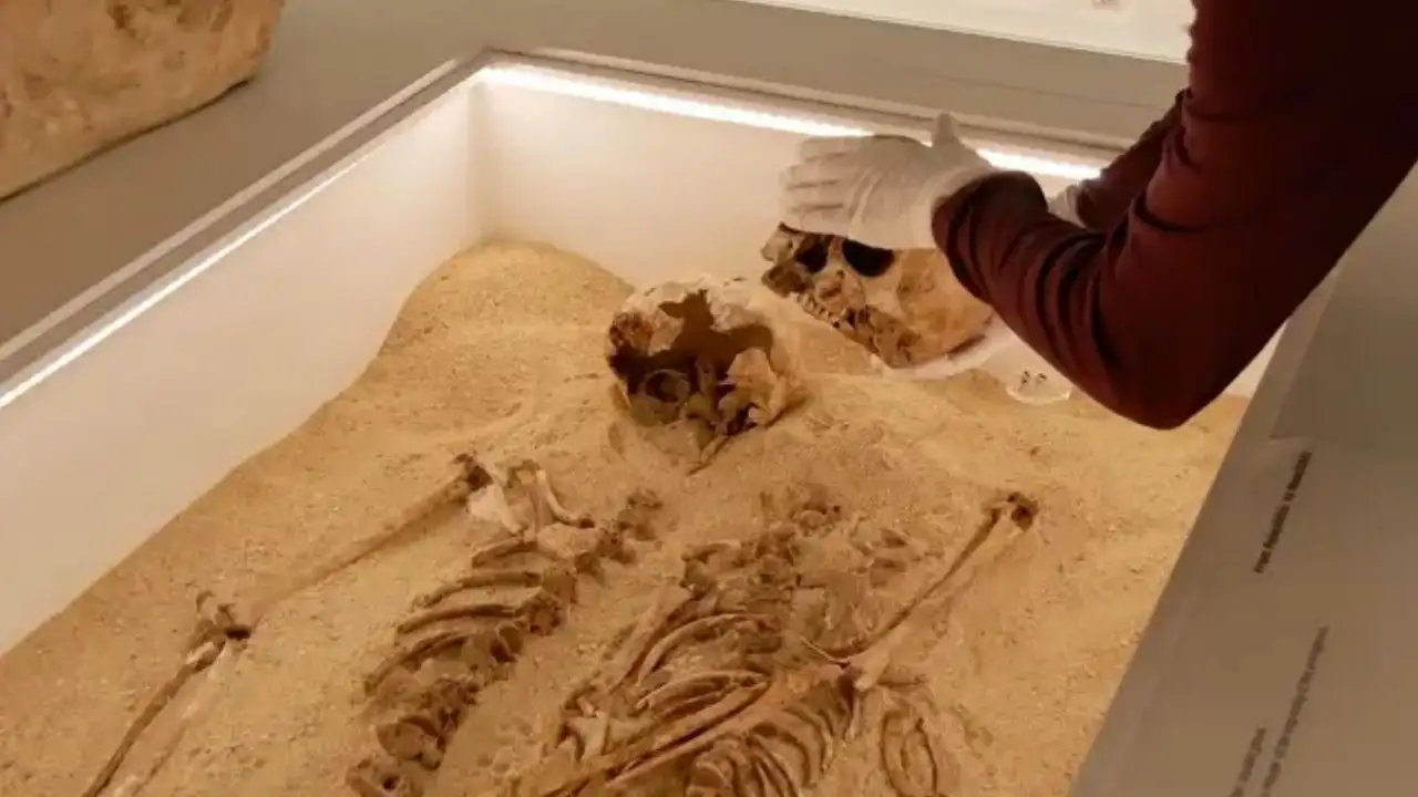 12,000-year-old skeletons buried in an embrace in Italy were women: The wider industry impact
