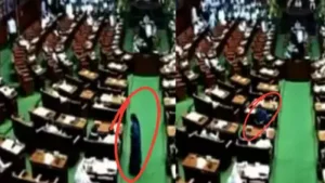 During a particularly fiery session in the Karnataka Assembly, MLAs Roopakala Shashidhar and S