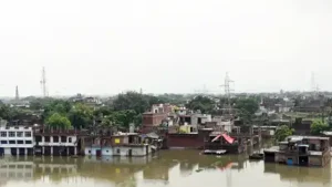 Flooding caused by the swelling Pandu river has brought life: The wider industry impact