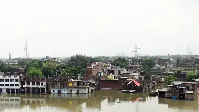 Flooding caused by the swelling Pandu river has brought life: The wider industry impact