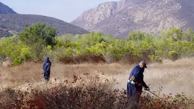 San Diego crews remove 60+ tons of brush from 750+ acres to reduce Mission Trails fire fuel