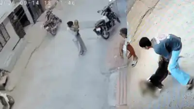 6-month-old mauled by pit bull in Sonipat