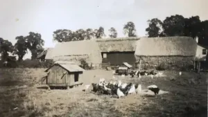 About 30 years ago, the Clark family decided to set aside: The wider industry impact