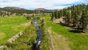 California’s Wildlife Conservation Board has approved $43.868: The wider industry impact