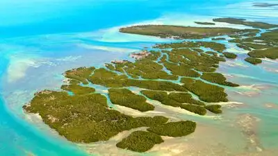 In 1956, a doctor bought a 7.9-acre Florida Keys island from the US: The wider industry impact