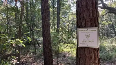 South Carolina will combine a 102-acre nature preserve with 50: The wider industry impact