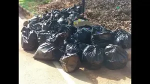 When residents, students joined hands to clean up tech park's: The wider industry impact
