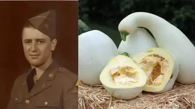 A Pennsylvania teacher preserved his family's white pumpkin: The wider industry impact