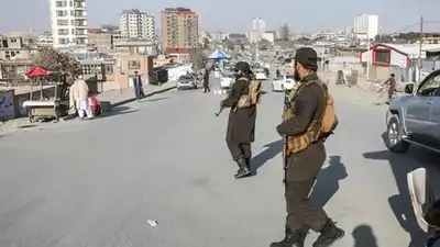 Al-Qaida and terrorist training camps are back in Afghanistan 25: The wider industry impact