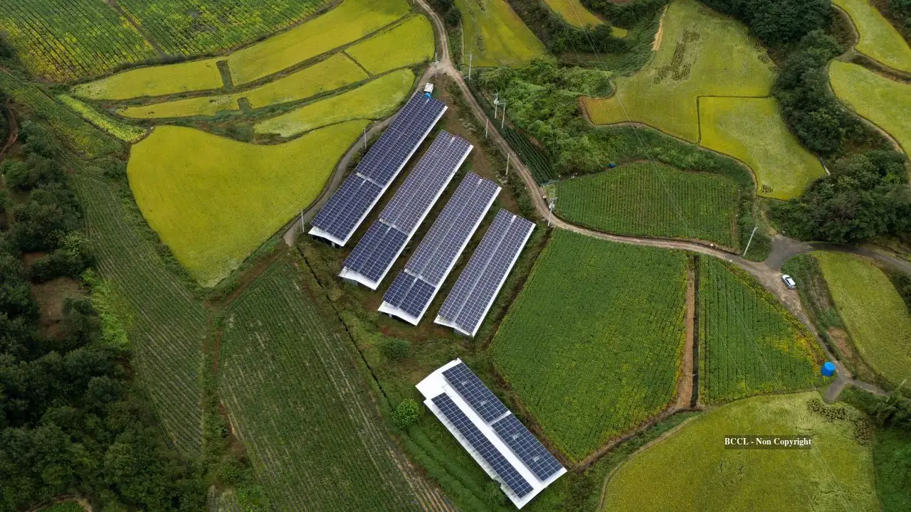 When New York farmer Tony Emmi agreed to lease 30 acres: The wider industry impact