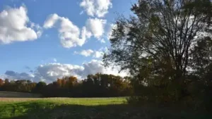 In 1988, Ohio attorney Neil McKown secretly bought 155 neglected acres; 38 years later, the family