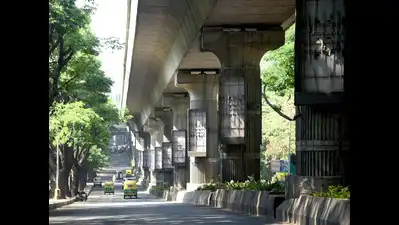 Trees standing close to Metro lines are being pruned: The wider industry impact