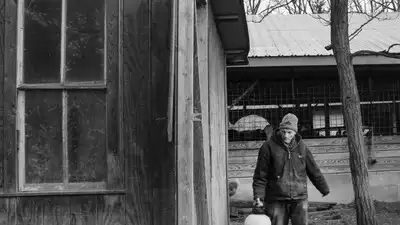 A Pennsylvania dairy farmer spent 70 years watching bears: The wider industry impact