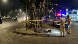Man asleep under tree killed after truck crushes him — Mumbai hit-and-run