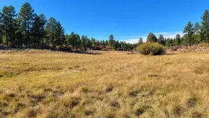 A Colorado family has protected a 684-acre ranch that stayed: The wider industry impact