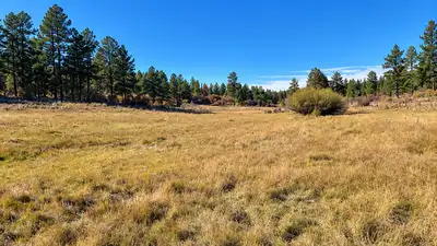 A Colorado family has protected a 684-acre ranch that stayed: The wider industry impact