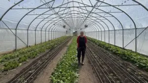 In 2010, a financially ruined couple started farming on leased land; after hitting $100,000