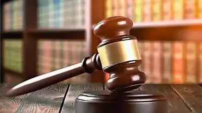 Patel pleaded guilty before US Chief Magistrate Judge Willie J Epps Jr