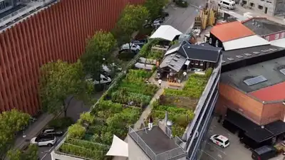It was created on top of an old car-auction house