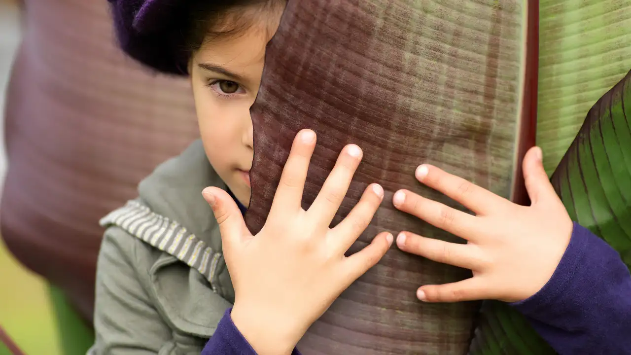 Psychology argues children who hide behind their parents around guests aren't always shy: What