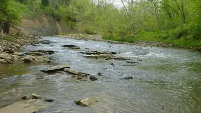 A Kentucky woman spent 35 years turning 45 acres into a nature preserve; now a nearly $40 million