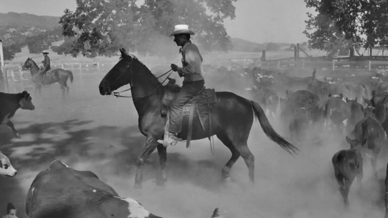 By 1956, buildings were being destroyed or burned so they would not become hazards when