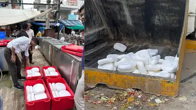 What's 'cooking' in Delhi this festive season? — 4,100kg adulterated khoya, paneer destroyed