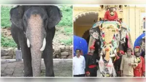 Legendary 60-year-old elephant Abhimanyu, who carried the 750kg Golden Howdah six times