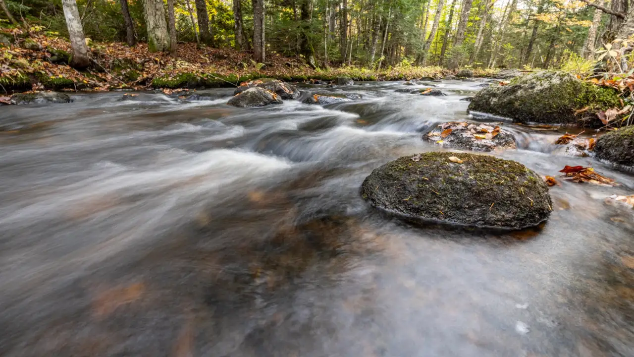 The partnership's broader goal is to return more than 30,000 acres: The wider industry impact